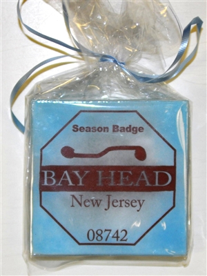 Any Town Beach Badge Blue Coasters